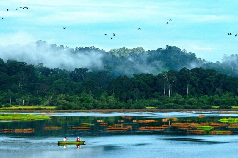Vườn quốc gia Nam Cát Tiên “Lá phổi xanh” của vùng Đông Nam Bộ